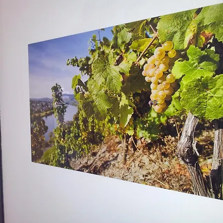 Pension Adelheid Moselhype&Wine-3